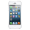 Apple iPhone 5 16Gb white - Шуя