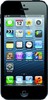 Apple iPhone 5 16GB - Шуя