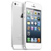 Apple iPhone 5 64Gb white - Шуя